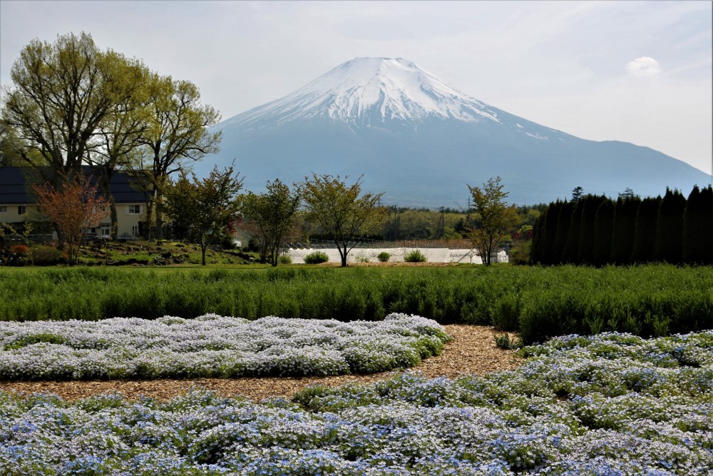 「花の都公園」 外観